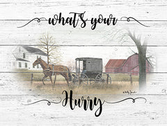 BJ1219 - What's Your Hurry - 16x12