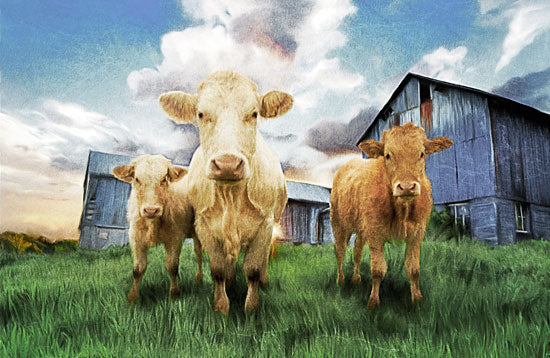 Bluebird Barn BLUE106 - BLUE106 - Three Curious Calves  - 18x12 Cows, Calves, Barn from Penny Lane