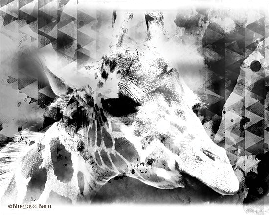 Bluebird Barn BLUE142 - BLUE142 - Modern Black & White Giraffe     - 16x12 Abstract, Black & White, Patterns, Wildlife, Giraffe from Penny Lane