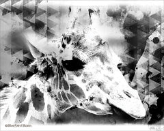 BLUE142 - Modern Black & White Giraffe     - 16x12