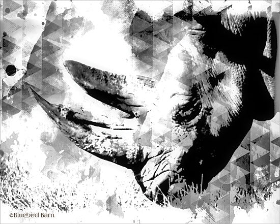 Bluebird Barn BLUE144 - BLUE144 - Modern Black & White Rhino    - 16x12 Abstract, Black & White, Patterns, Wildlife, Rhinoceros from Penny Lane