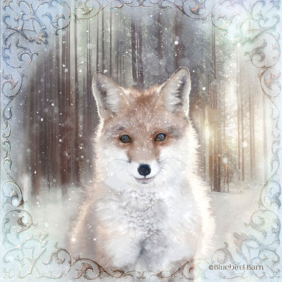 Bluebird Barn BLUE152 - BLUE152 - Enchanted Winter Fox     - 12x12 Fox, Winter, Forest, Portrait from Penny Lane