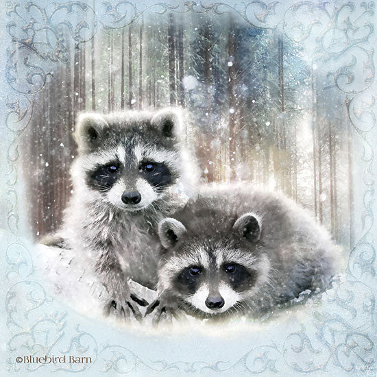 Bluebird Barn BLUE154 - BLUE154 - Enchanted Winter Raccoons   - 12x12 Raccoons, Winter, Forest, Portrait from Penny Lane