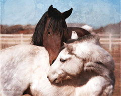 BLUE155 - White and Chestnut Horses    - 16x12