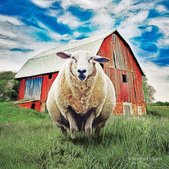 BLUE157 - Sunday Afternoon Sheep Pose   - 12x12