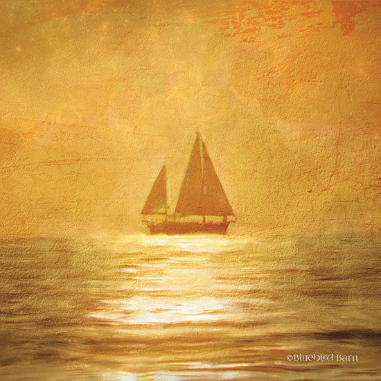 Bluebird Barn BLUE223 - Solo Gold Sunset Sailboat - 12x12 Sailboat, Sailing, Abstract, Ocean, Sunlight, Reflection from Penny Lane