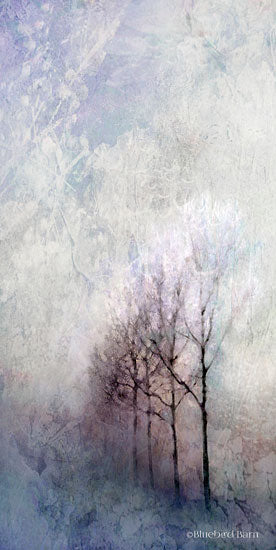 Bluebird Barn BLUE230 - First Light Winter Forest - 12x24 Winter, Forest, Morning, Trees, Snow from Penny Lane