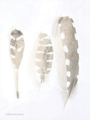 BLUE231 - Neutral Feathers Study    - 12x18