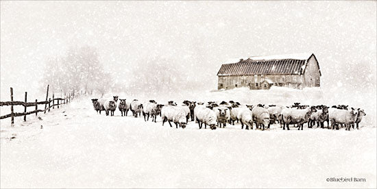 Bluebird Barn BLUE255 - Warm Winter Barn with Sheep Herd - 18x9 Barn, Farm, Sheep, Winter, Snow, Herd of Sheep from Penny Lane