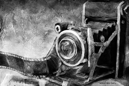 Bluebird Barn BLUE261 - BLUE261 - Vintage Camera Black and White   - 18x12 Camera, Vintage, Hobbies, Black & White from Penny Lane