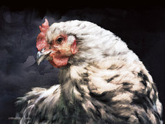 BLUE286 - Rooster Portrait - 16x12