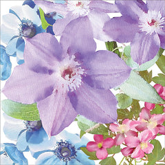 BLUE289 - Clematis I - 12x12