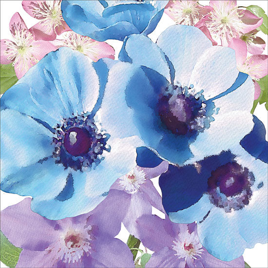 Bluebird Barn BLUE291 - Clematis III - 12x12 Flowers, Clematis, Pink, Blue, Purple, Botanical from Penny Lane