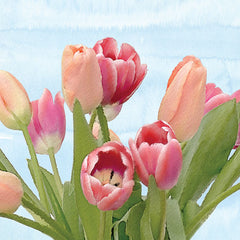 BLUE296 - Fresh Spring Tulips IV - 12x12