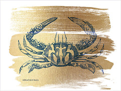 BLUE340 - Brushed Gold Crab - 16x12