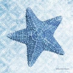 BLUE372 - Starfish I - 12x12