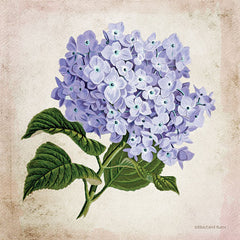 BLUE399 - Vintage Lilac - 12x12