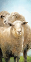 BLUE410 - Three Sheep Portrait - 9x18