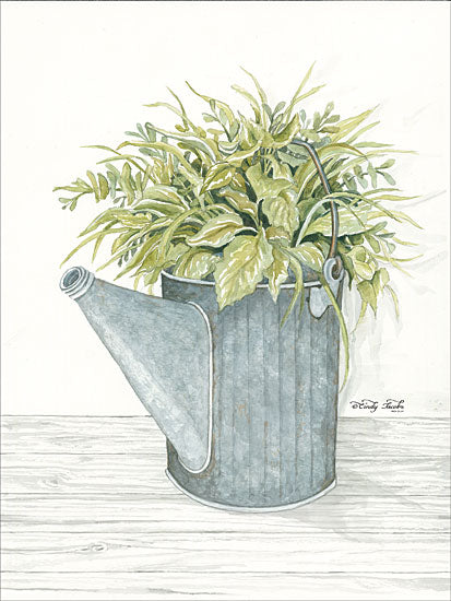 Cindy Jacobs CIN1106 - Galvanized Watering Can Galvanized Metal, Watering Can, Plants, Flowers, Shabby Chic from Penny Lane