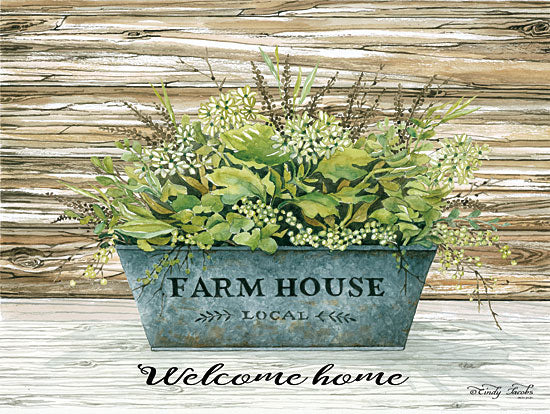Cindy Jacobs CIN1152 - Welcome Home Farmhouse, Greenery, Galvanized Bucket, Plants from Penny Lane