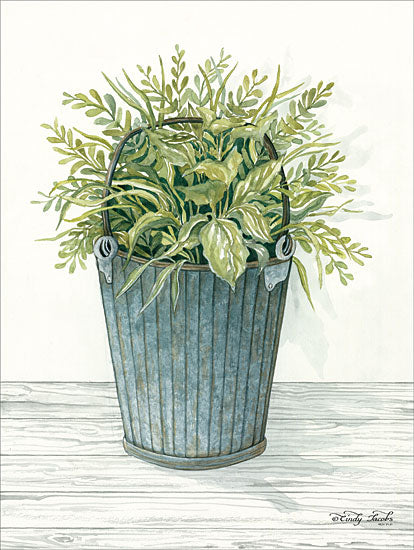 Cindy Jacobs CIN1154 - Old Bucket of Greenery Plants, Galvanized Bucket, Greenery from Penny Lane