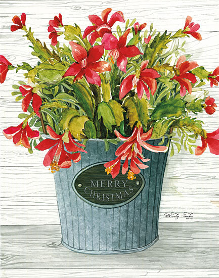 Cindy Jacobs CIN1298 - Merry Christmas Pot Holidays, Red Flowers, Flowers, Galvanized Bucket, Merry Christmas from Penny Lane