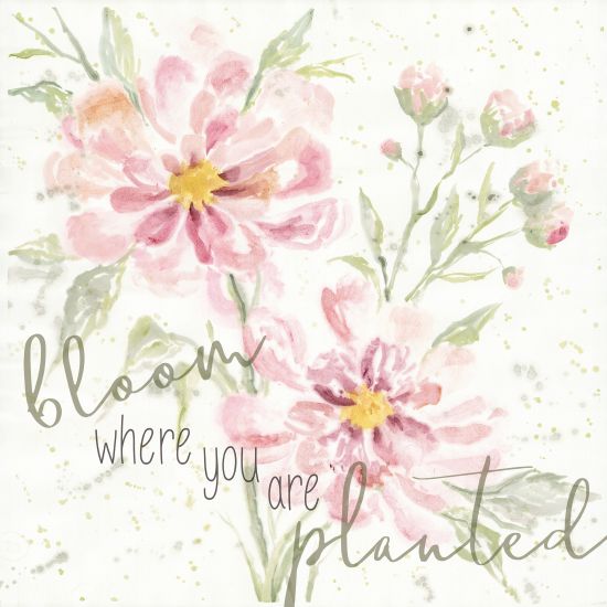 Cindy Jacobs CIN1389 - Bloom Where You are Planted Bloom Where You are Planted, Flowers, Botanical, Calligraphy, Signs from Penny Lane