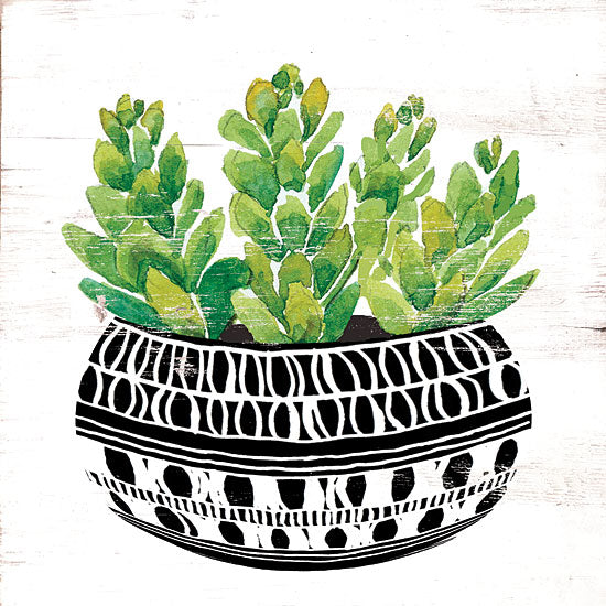 Cindy Jacobs CIN1500 - Mud Cloth Succulent IV - 12x12 Succulents, Mud Cloth Pot, Southwestern, Cactus from Penny Lane