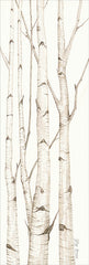 CIN901 - Birch Trees I
