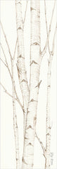 CIN902 - Birch Trees II
