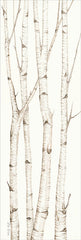 CIN903 - Birch Trees III