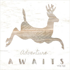 CIN937 - Adventure Awaits Deer - 12x12