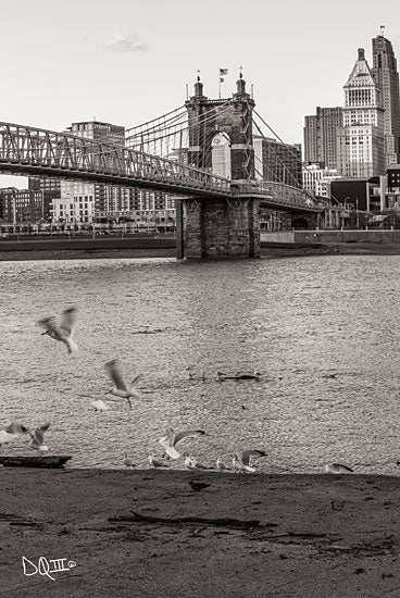 Donnie Quillen DQ136 - Suspension Bridge I Suspension Bridge, Cincinnati, Ohio, Bridge, Photography, Birds, Urban from Penny Lane