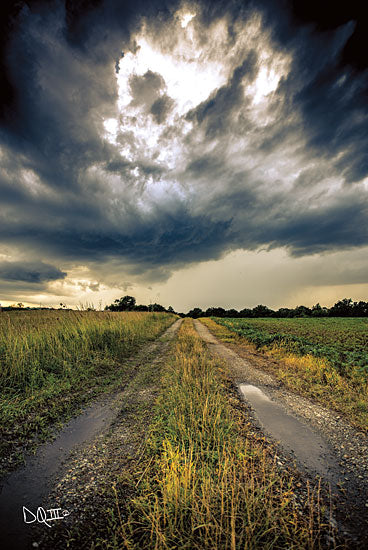 Donnie Quillen DQ140 - Embrace the Storm I Storm, Weather, Clouds, Road, Path, Landscape from Penny Lane