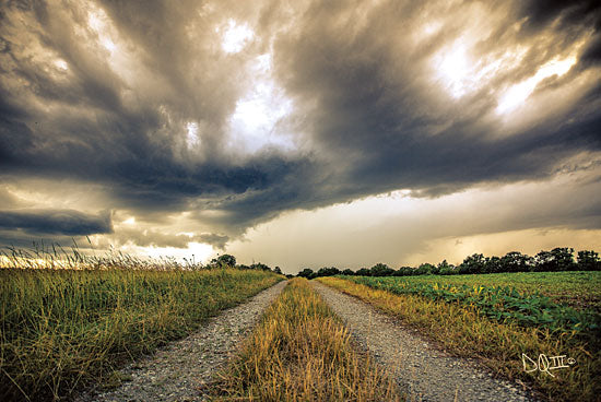 Donnie Quillen DQ141 - Embrace the Storm II Storm, Weather, Clouds, Road, Path, Landscape from Penny Lane