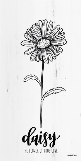 Imperfect Dust DUST243 - Daisy - the Flower of True Love - 9x18 Daisy, Flower, True Love, Sketches, Black & White from Penny Lane