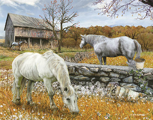 Ed Wargo ED367 - Horse Farm II - Horse, Farm, Barn, Grazing, Wagon Wheel, Autumn from Penny Lane Publishing