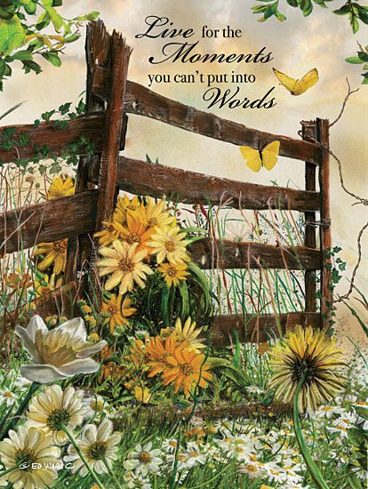 Ed Wargo ED379 - Live for the Moments Flowers, Daisies, Fence, Moments, Wildflowers from Penny Lane