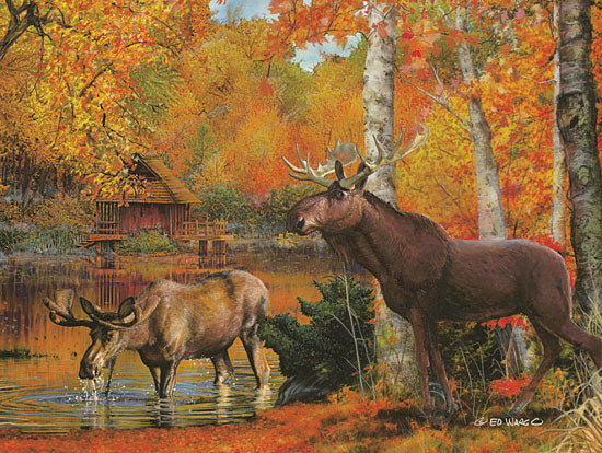 Ed Wargo ED400 - Peaceful Retreat - 16x12 Moose, Autumn, Cabin, Lodge, Forest, Trees, Lake from Penny Lane