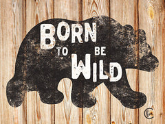 FMC173 - Born to Be Wild - 16x12