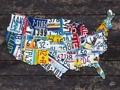 HALL308C - USA License Plate Map - 16x12