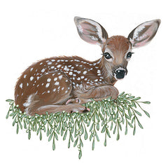 HH119 - Fawn - 12x12