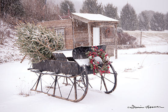 Irvin Hoover HOO101 - HOO101 - Grandpa's Sleigh - 18x12 Sleigh, Winter, Snow, Christmas Tree, Christmas Tree Farm from Penny Lane