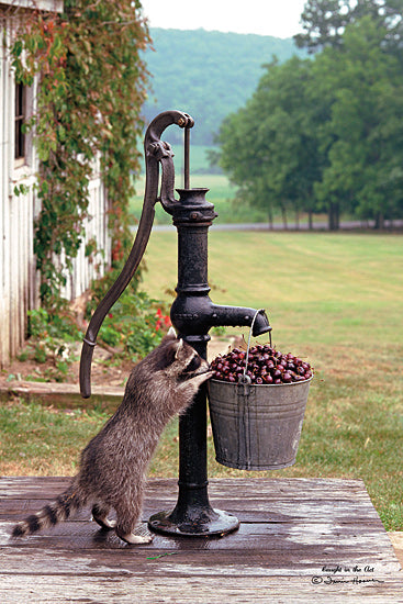 Irvin Hoover HOO109 - HOO109 - Caught in the Act - 12x18 Raccoon, Water Pump, Cherries, Humorous from Penny Lane