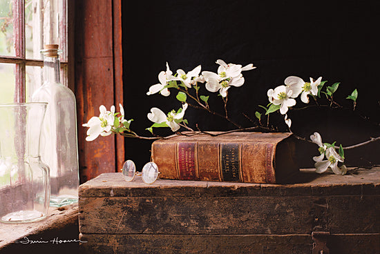 Irvin Hoover HOO117 - HOO117 - Nature's Law - 18x12 Book, Old Book, Still Life, Flowers, Glass Jars, Photography, Rustic from Penny Lane