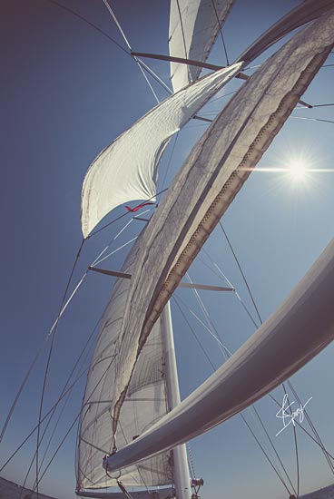 Justin Spivey JDS215 - JDS215 - Clear Sailing - 12x18 Sailing, Photography, Coastal, Sailboat, Hobbies from Penny Lane