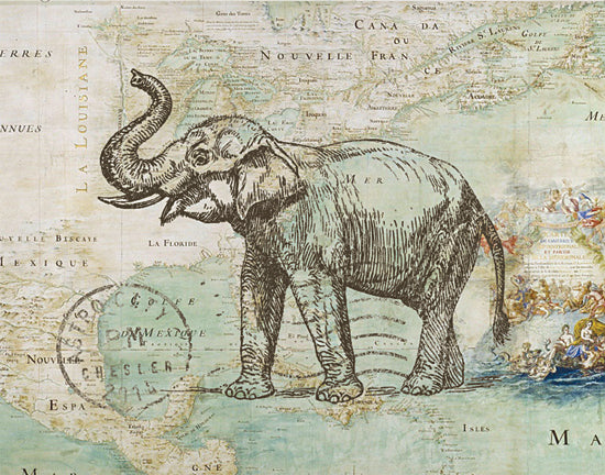JG Studios JGS173 - JGS173 - Elephant Trunk II - 16x12 Elephant, Map, Postcard from Penny Lane