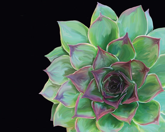 JG Studios JGS196 - JGS196 - Succulent Elegans III - 16x12 Succulents, Cactus, Southwestern from Penny Lane