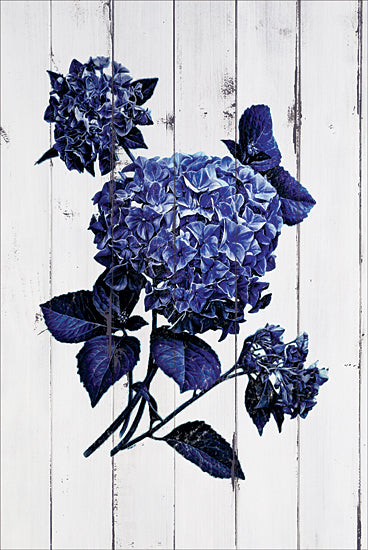 JG Studios JGS218 - JGS218 - Indigo Hydrangeas - 12x18 Flowers, Blue Flowers, Hydrangeas, Shiplap from Penny Lane