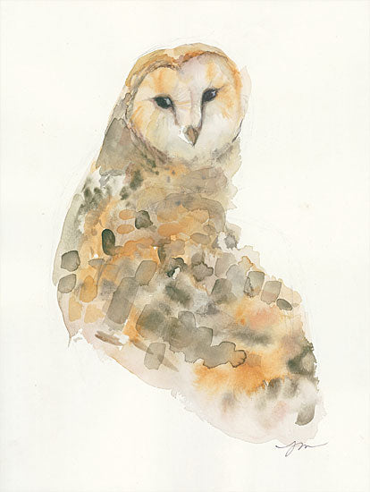 Jessica Mingo JM166 - Barn Owl - 12x16 Owl, Abstract, Barn Owl from Penny Lane